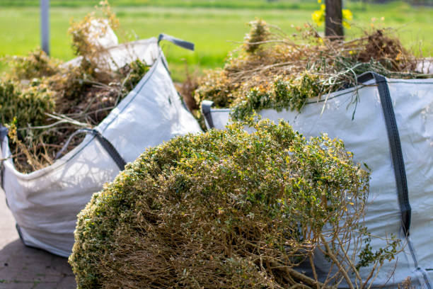 Best Commercial Cleanout Services  in Magnolia, OH